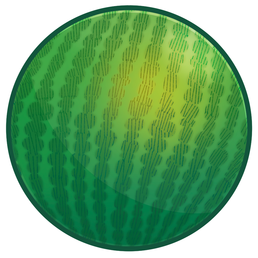 Untitled watermelon